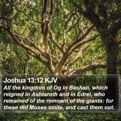 Joshua 13:12 KJV Bible Verse Image