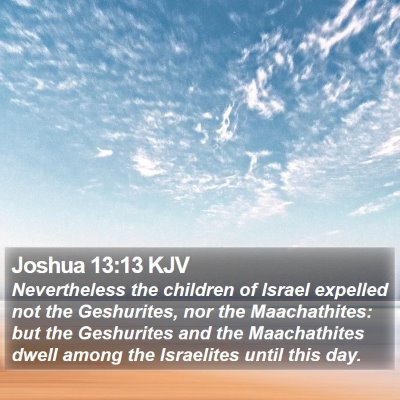 Joshua 13:13 KJV Bible Verse Image