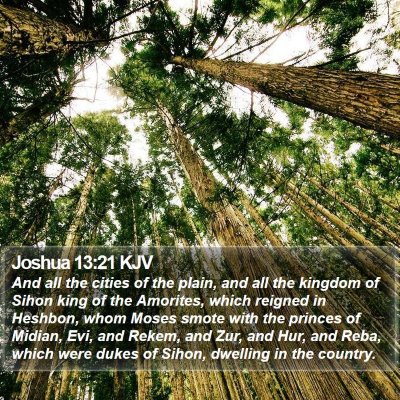Joshua 13:21 KJV Bible Verse Image