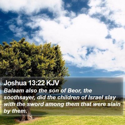 Joshua 13:22 KJV Bible Verse Image