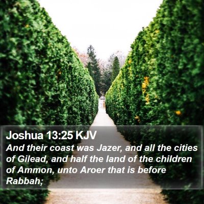 Joshua 13:25 KJV Bible Verse Image