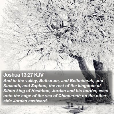 Joshua 13:27 KJV Bible Verse Image