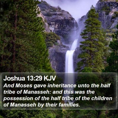 Joshua 13:29 KJV Bible Verse Image