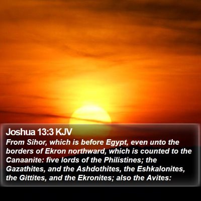Joshua 13:3 KJV Bible Verse Image
