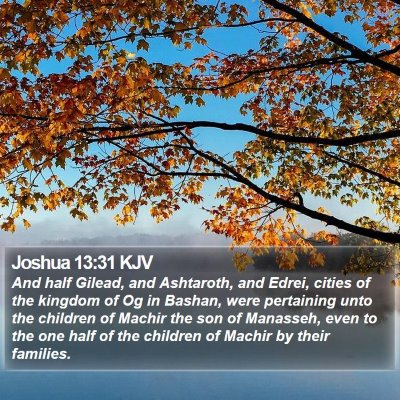 Joshua 13:31 KJV Bible Verse Image