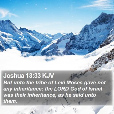 Joshua 13:33 KJV Bible Verse Image