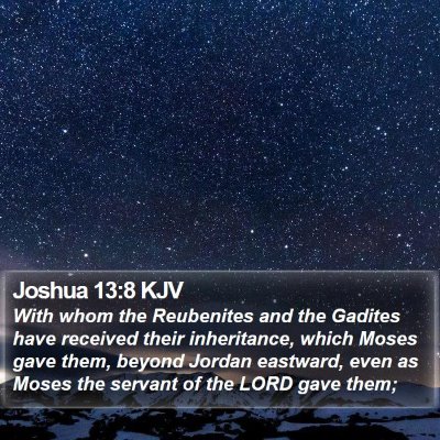 Joshua 13:8 KJV Bible Verse Image