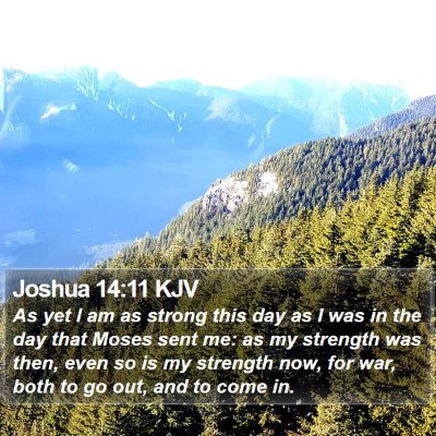 Joshua 14:11 KJV Bible Verse Image