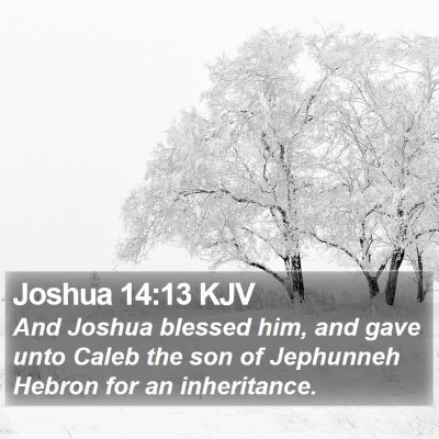 Joshua 14:13 KJV Bible Verse Image