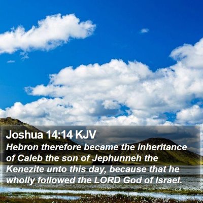 Joshua 14:14 KJV Bible Verse Image