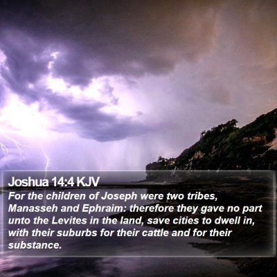 Joshua 14:4 KJV Bible Verse Image