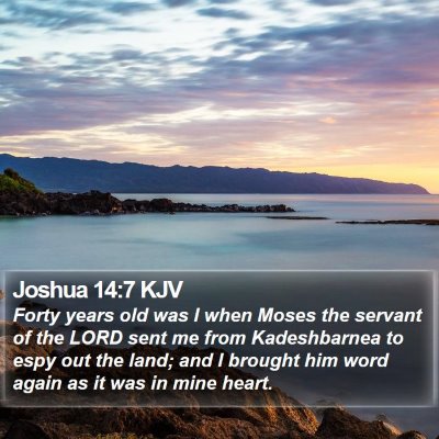 Joshua 14:7 KJV Bible Verse Image