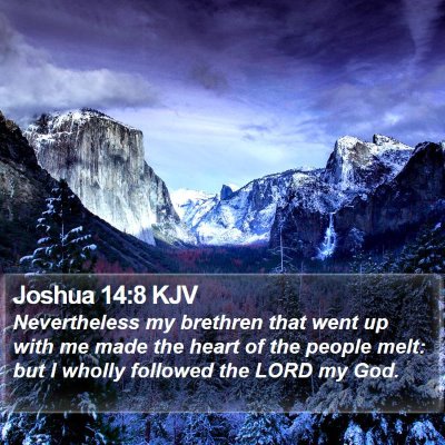 Joshua 14:8 KJV Bible Verse Image