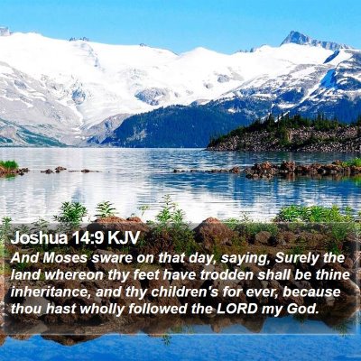 Joshua 14:9 KJV Bible Verse Image