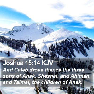 Joshua 15:14 KJV Bible Verse Image