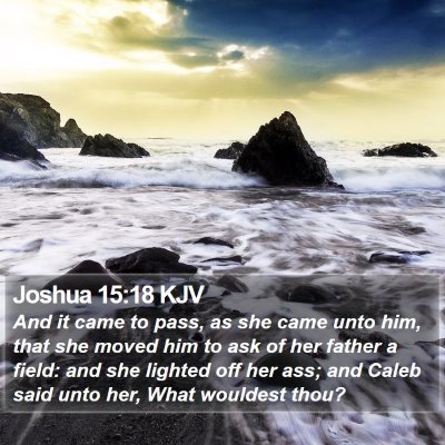 Joshua 15:18 KJV Bible Verse Image