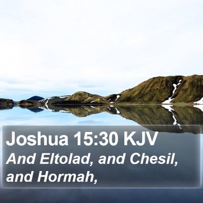 Joshua 15:30 KJV Bible Verse Image