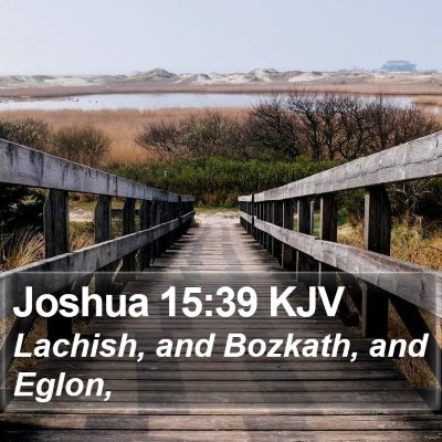 Joshua 15:39 KJV Bible Verse Image