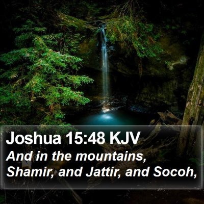 Joshua 15:48 KJV Bible Verse Image