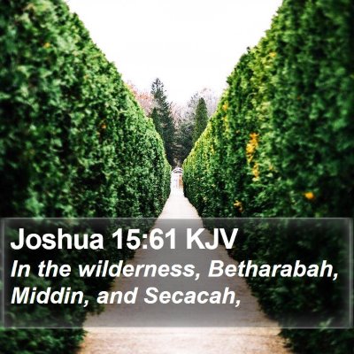 Joshua 15:61 KJV Bible Verse Image