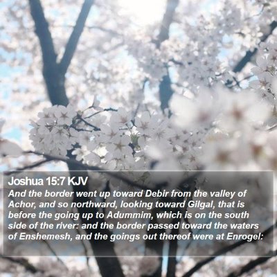 Joshua 15:7 KJV Bible Verse Image