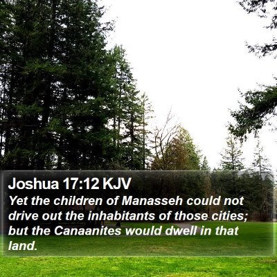 Joshua 17:12 KJV Bible Verse Image