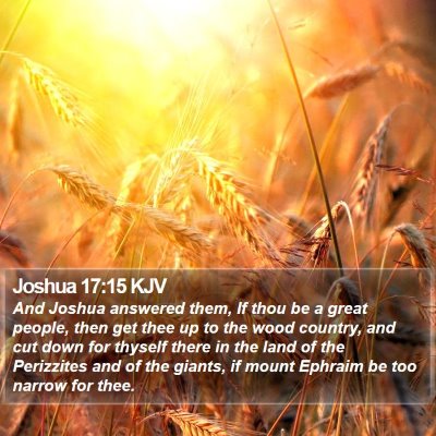 Joshua 17:15 KJV Bible Verse Image
