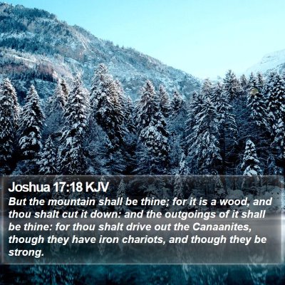 Joshua 17:18 KJV Bible Verse Image