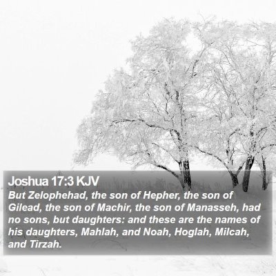 Joshua 17:3 KJV Bible Verse Image