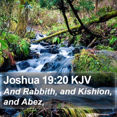 Joshua 19:20 KJV Bible Verse Image