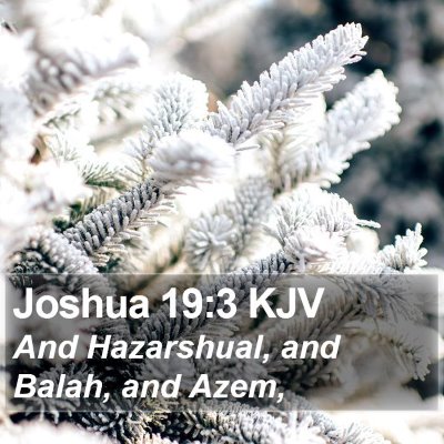 Joshua 19:3 KJV Bible Verse Image