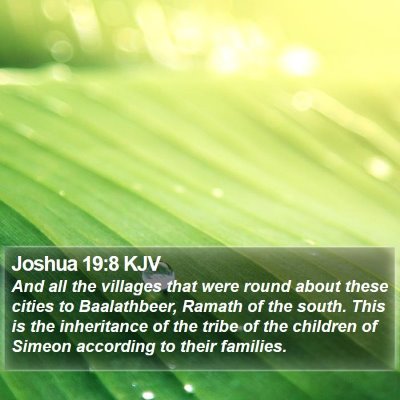 Joshua 19:8 KJV Bible Verse Image