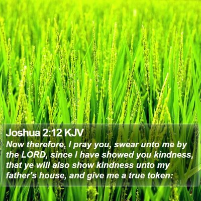 Joshua 2:12 KJV Bible Verse Image
