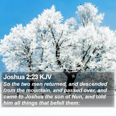 Joshua 2:23 KJV Bible Verse Image