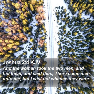 Joshua 2:4 KJV Bible Verse Image