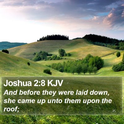 Joshua 2:8 KJV Bible Verse Image