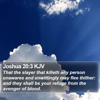 Joshua 20:3 KJV Bible Verse Image