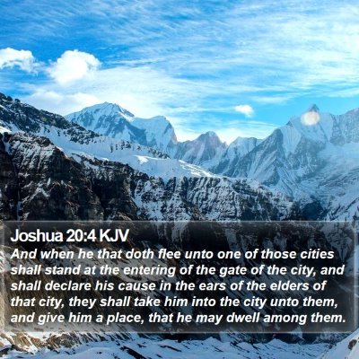 Joshua 20:4 KJV Bible Verse Image