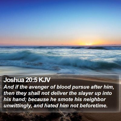 Joshua 20:5 KJV Bible Verse Image