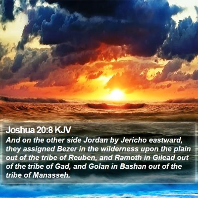 Joshua 20:8 KJV Bible Verse Image