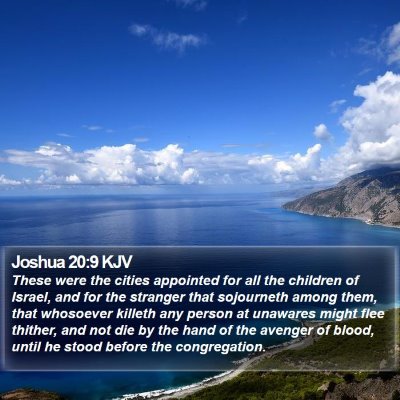 Joshua 20:9 KJV Bible Verse Image