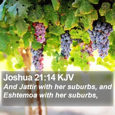 Joshua 21:14 KJV Bible Verse Image