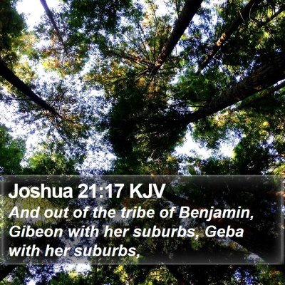 Joshua 21:17 KJV Bible Verse Image