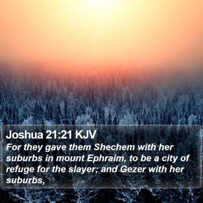 Joshua 21:21 KJV Bible Verse Image