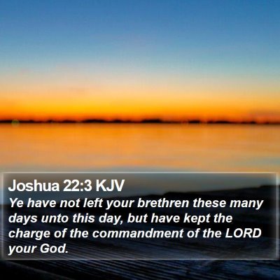 Joshua 22:3 KJV Bible Verse Image