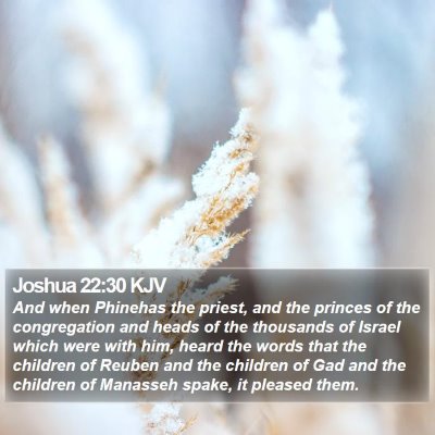 Joshua 22:30 KJV Bible Verse Image