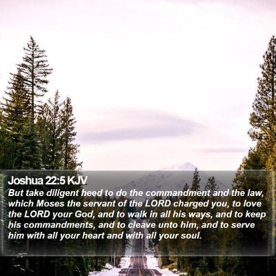 Joshua 22:5 KJV Bible Verse Image