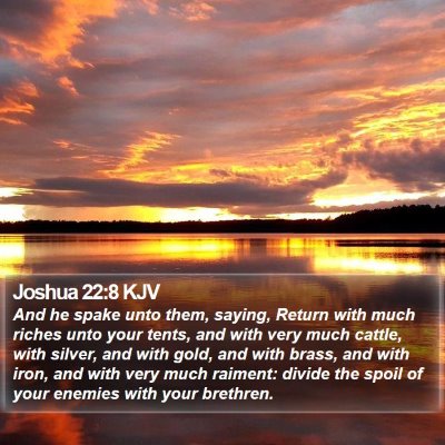 Joshua 22:8 KJV Bible Verse Image
