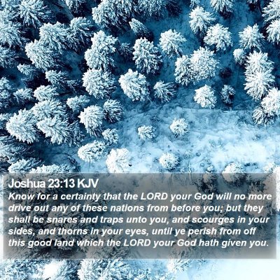 Joshua 23:13 KJV Bible Verse Image