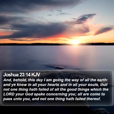 Joshua 23:14 KJV Bible Verse Image